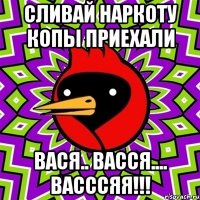 сливай наркоту копы приехали Вася.. ВАССЯ.... ВАСССЯЯ!!!