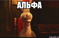 альфа 