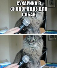 сухарики в сковородке для собак 