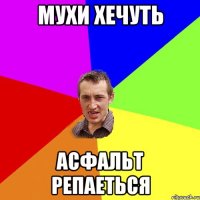 мухи хечуть асфальт репаеться