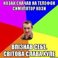 Козак скачав на телефон симулятор кози Впізнав себе. Світова слава хуле