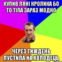 Купив ляні кролика бо то тіпа зараз модно через тиждень пустила на холодець