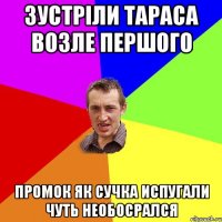 Зустріли тараса возле першого промок як сучка испугали чуть необосрался