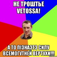 не трошТье vetossa! А то пiзнаэтэ CилУ всемогутней Вертухи!!!