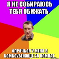 Я не собираюсь тебя обижать. Спрячься у меня в бомбоубежище 25 комнат.