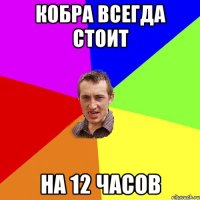 Кобра всегда стоит на 12 часов