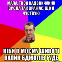 Мала, твоя надзвичайна врода так вражає, що я чуствую ніби в моєму шивоті вулик бджолів гуде