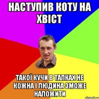 НАСТУПИВ КОТУ НА ХВІСТ ТАКОЇ КУЧИ В ТАПКАХ НЕ КОЖНА І ЛЮДИНА ЗМОЖЕ НАЛОЖИТИ