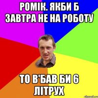 РОМІК. якби б завтра не на роботу то в'бав би 6 літрух