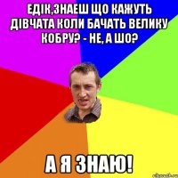 Едік,знаеш що кажуть дівчата коли бачать велику кобру? - Не, а шо? А я знаю!