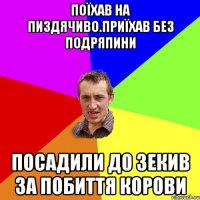 ПОЇХАВ НА ПИЗДЯЧИВО.ПРИЇХАВ БЕЗ ПОДРЯПИНИ ПОСАДИЛИ ДО ЗЕКИВ ЗА ПОБИТТЯ КОРОВИ