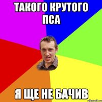 ТАКОГО КРУТОГО ПСА Я ЩЕ НЕ БАЧИВ