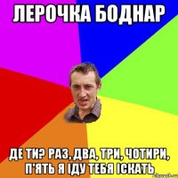 ЛЕРОЧКА БОДНАР ДЕ ТИ? РАЗ, ДВА, ТРИ, ЧОТИРИ, П'ЯТЬ Я ІДУ ТЕБЯ ІСКАТЬ