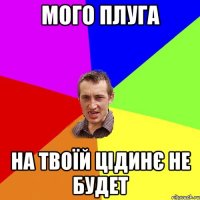 мого плуга на твоїй цідинє не будет