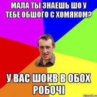 мала ты знаешь шо у тебе обшого с хомяком? у вас шокb в обох робочi