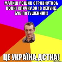 малиш рєшив огризнутись вовкі кличку.за 10 секунд був потушений!!! це україна,дєтка!