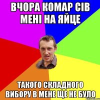 ВЧОРА КОМАР СІВ МЕНІ НА ЯЙЦЕ ТАКОГО СКЛАДНОГО ВИБОРУ В МЕНЕ ЩЕ НЕ БУЛО