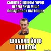 САДИЛИ З ЕДІКОМ ГОРОД ПЕРЕВЕРНУВ МІШО ПОСАДКОВОЙ КАРТОШКИ ШОБНУВ ЙОГО ЛОПАТОЙ