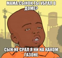 Мама:сынок,ты убрал в доме? Сын:Не срал я ни на каком газоне