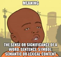 meaning the sense or significance of a word, sentence, symbol; semantic or lexical content