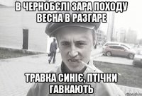 В ЧЕРНОБЄЛІ ЗАРА ПОХОДУ ВЕСНА В РАЗГАРЕ ТРАВКА СИНІЄ, ПТІЧКИ ГАВКАЮТЬ