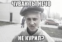 Чувак ты нечо не курил?