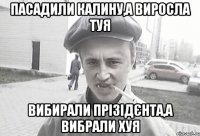 Пасадили калину,а виросла туя Вибирали прізідєнта,а вибрали ХУЯ