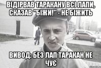 Відірвав таракану всі лапи, сказав "біжи!" - Не біжить Вивод: без лап таракан не чує