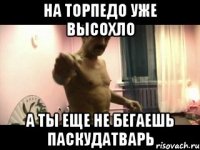 на торпедо уже высохло а ты еще не бегаешь паскудатварь