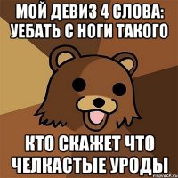 мой девиз 4 слова: уебать с ноги такого кто скажет что челкастые уроды