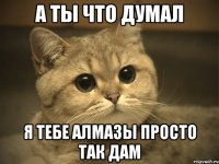 а ты что думал я тебе алмазы просто так дам