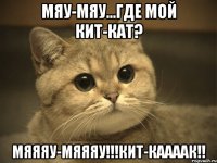 Мяу-мяу...Где мой кит-кат? Мяяяу-мяяяу!!!КИТ-КААААК!!