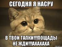 Сегодня я насру в твои тапки!!!Пощады не жди!!!ахахаха