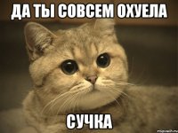 ДА ТЫ СОВСЕМ ОХУЕЛА СУЧКА