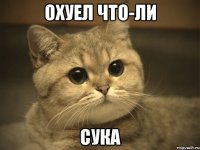 Охуел что-ли сука