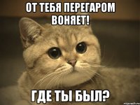 От тебя перегаром воняет! Где ты был?