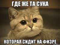 Где же та сука Которая сидит на физре