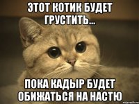 Этот котик будет грустить... Пока Кадыр будет обижаться на Настю