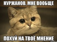 нуржанов, мне вообще похуй на твоё мнение