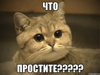 ЧТО ПРОСТИТЕ?????