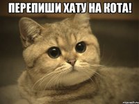 Перепиши хату на кота! 