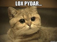 Lox pydar... 