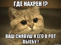 Где нахрен !? Ваш сиявуш я его в рот выебу !