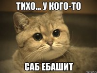 тихо... у кого-то саб ебашит