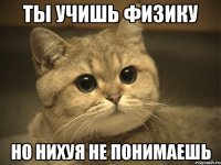 Ты учишь физику но нихуя не понимаешь