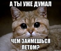 а ты уже думал чем займешься летом?