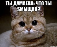 ТЫ ДУМАЕШЬ ЧТО ТЫ SMMЩИК? 