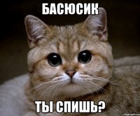 басюсик ты спишь?