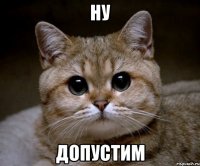 НУ ДОПУСТИМ