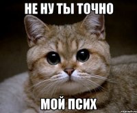 не ну ты точно мой псих